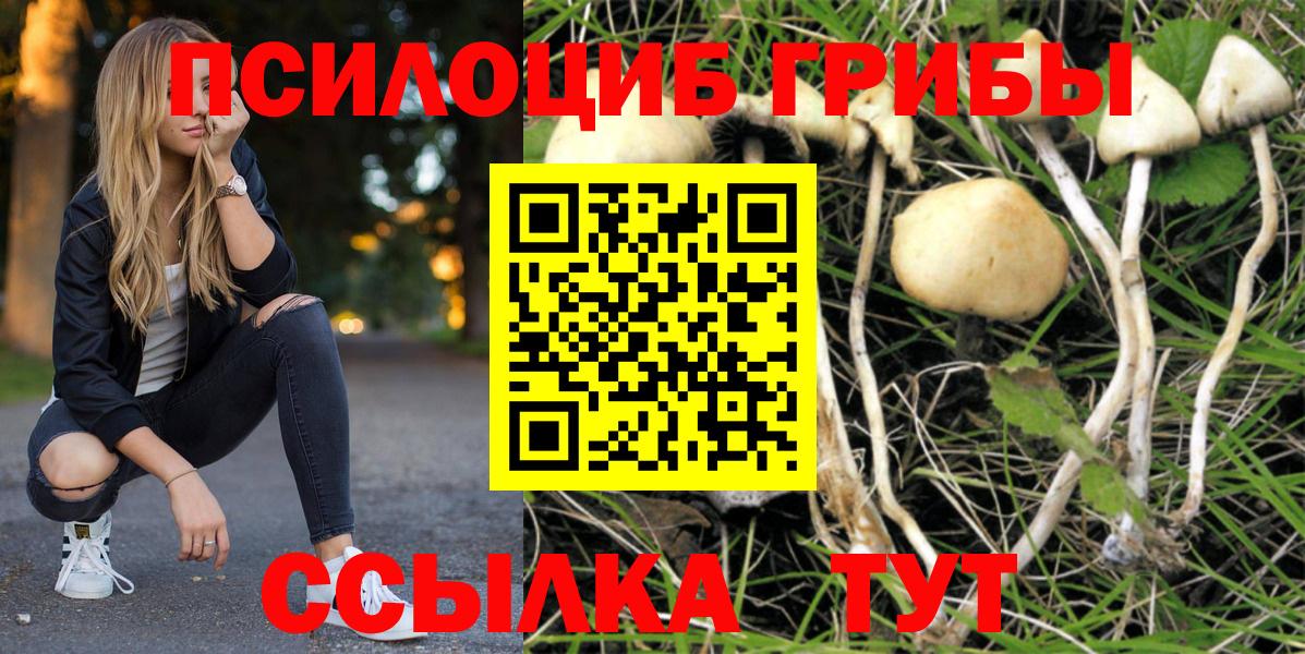 Галлюциногенные грибы мицелий Кашира