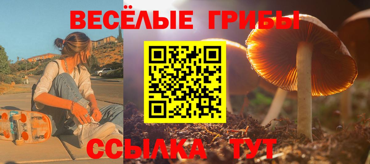 Псилоцибиновые грибы Psilocybe  Галлюциногенные грибы Magic Shrooms  Кашира  магазин продажи   Вход с VPN 